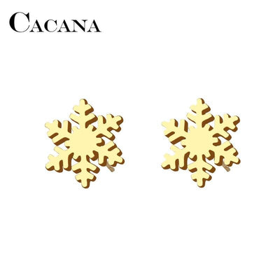 Stainless Steel Stud Earring For Women