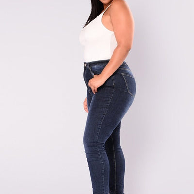 Plus Size High Waist Skinny Pencil Jeans