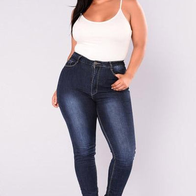 Plus Size High Waist Skinny Pencil Jeans