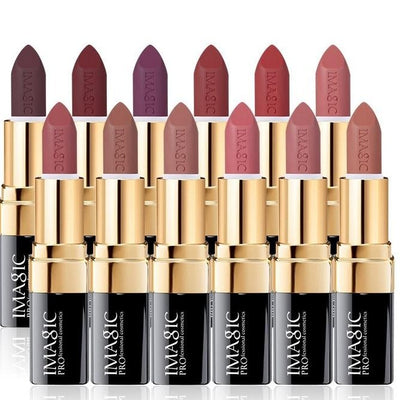 12 Colors Smooth Lip Stick